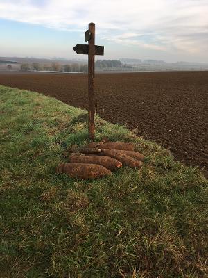 "Visit by Carl Greener in honour of Grandfather 8 DLI KIA 5 November 1916".  The relics of war 100 years later. Up path leading from the Butte Taken by Carl Greener November 2016