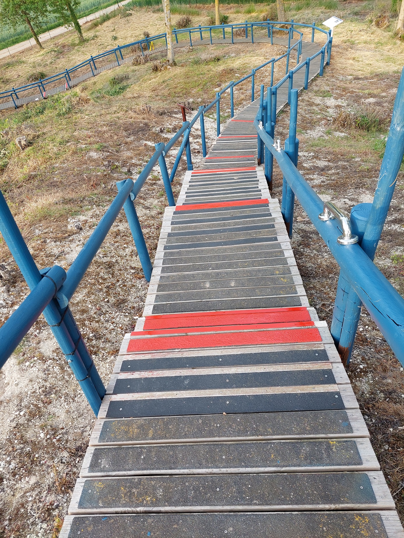 "Red edges looking quite nice".  The warning red step edges were painted in June Taken by Bob Paterson June 2022