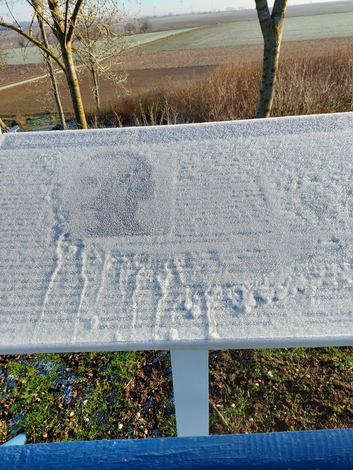 "A rather frozen information board at the Butte".  A serious frost hits the area mid December 2022 Taken by Bob Paterson December 2022