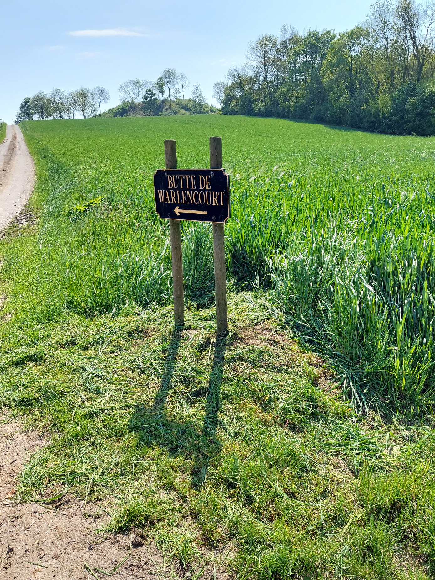 "The Butte sign at the bottom of the lane".  Looking rather tidy! Taken by Bob Paterson May 2023